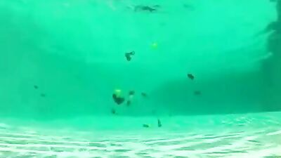 Twinks in the Pool - A Gay Porn Video with Hot Twink Action!