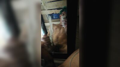 Oh Boys Big Cock Fetish Adventure