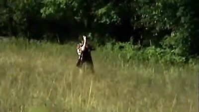 Forbidden Forest Frenzy - Bareback Cum Shots Oral