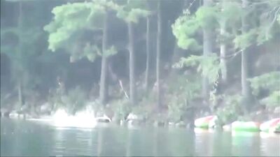 Four Lovely Boys Singing Dance Music - M Vid 3547