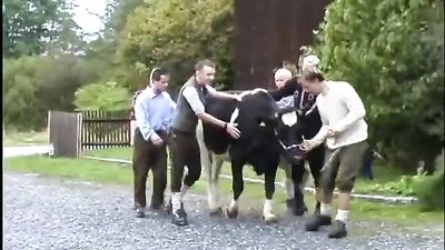 Milking Cocks at Bavarian Farm - Big Sucu M-Video