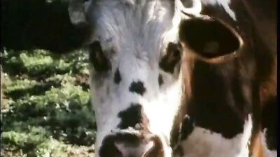 Slick 251: Action-Packed Gay Porn Adventure!