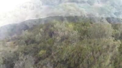 Gay Porn - De Biman Hotboys 400: Action Bareback Cum Shots!