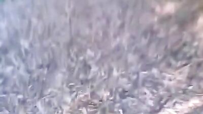 Cum in the woods