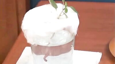 Latino Heat: Action Cum Shots in the City!