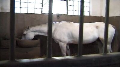 Gangbang Bliss: Rural Boys Wild Encounter