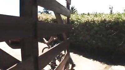 Gay Porn Video - Latino Thunder!