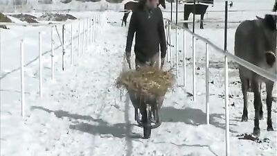 Hard Winter Cum Shots: Oral Bareback Delights!