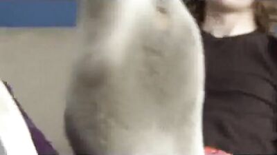 Gangbang with Skater Twinks - Foot Fetish Fun!