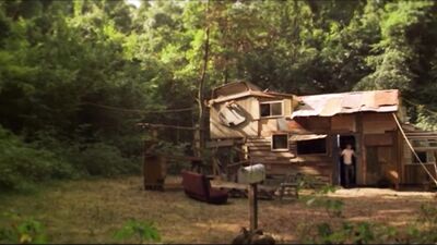 The Kings Of Summer Revisited: Straight Boys Music Love!