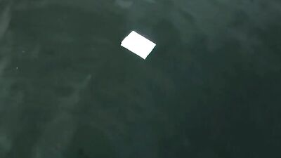 First Time Kisses - Gay Porn Video - Young teens in their first gay kisses and come out on camera!