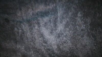 Shaved Slave Ready to be Filled - Big Cocks Bareback Ass Play