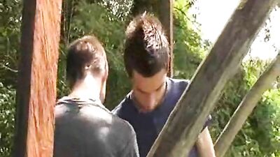 Gay Wonderland Porn Adventure - Tree-House Boys