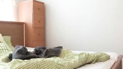 Neighborhood Twinks - Gay Welcome Porn Boys Roommate