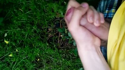 Grasswatering 2: The Sequel OR Watering the Grass: The Next Level