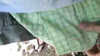 Park Adventure: Into The Wild!