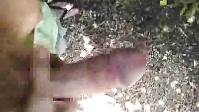 Park Adventure: Into The Wild!