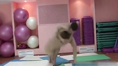 GayPornVideos - For The Beauty Of Male Body - Wrestling Nude Amateurs (No Sex)