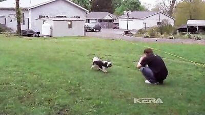 Out in the Silence - A Gay Porn Journey