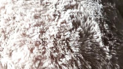 Fucking his Teddy: Amateur Big Cocks Fetish Adventure!