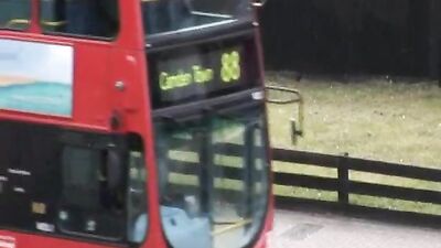 Lick, Fuck & Cum: Big Sucus Gay Porn Video Delight!