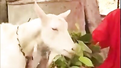 Brian555 Roy and James: Hardcore Gay Porn Romp!