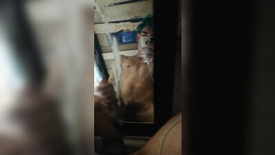 Reflecting Pleasure: Gay Porn Adventure
