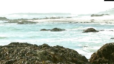 Kinky Angels: Paradise Found