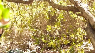 Outdoor Hookup: Exploring Gay Sex in the Wild - Free Tagged