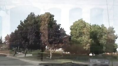 Gay Tricks: Boys Will Be Boys!