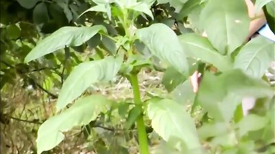 Golden Stream: Young Pissing Gods - Outdoor Fun!