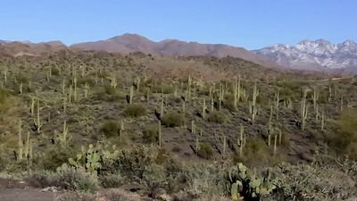 Zacks Pissing and Masturbating Deluxe!