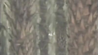 Brian555 Yummy Pleasure Returns!