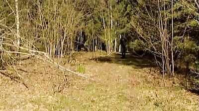 Gay Bareback Boys 3: Oral Cum Shots in Raw Action