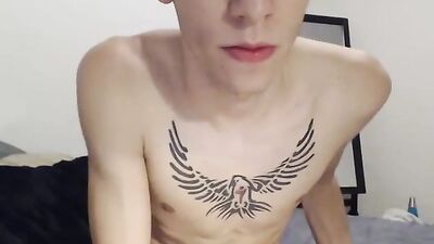 Young and Inked: Skinny Twink Web-Cam Show!