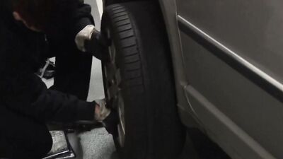 Neighbors: The Wild Bareback Adventure