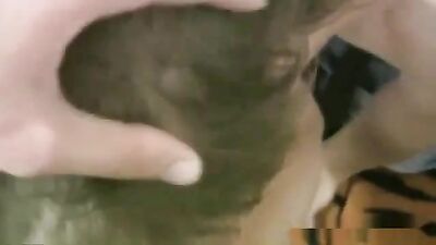 Slick 872: Action Gay Porn Video!