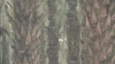 Anytime, Anywhere XXX: Gay Porn Explosion!