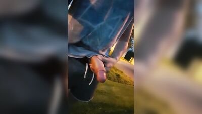 Big Cocks Unleashed: Nice and Hardcore!