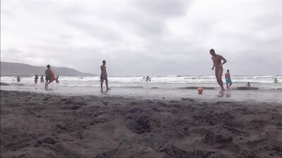 Beach Boys Reunion: Amateur Gay Porn Video