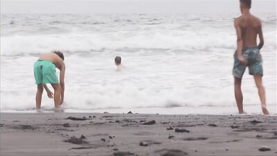 Beach Boys Reunion: Amateur Gay Porn Video