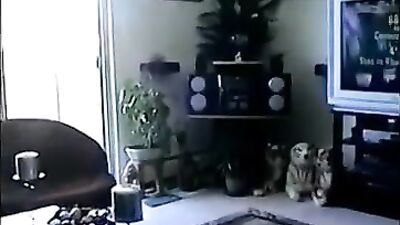 For Pay: Hardcore Gay Porn Video - Cum Inside and Scream!