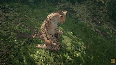 Wild Life / Leopard Playing With Her Prey