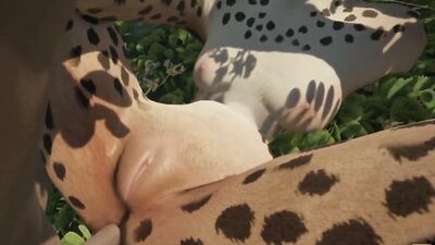 Wild Life / Leopard Playing With Her Prey