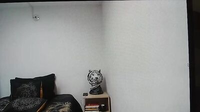 Gay Porn Jock Men - Cam Guy Hunk Video