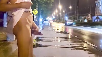 Asian Risky Jerk-Off: Highway Side Masturbation