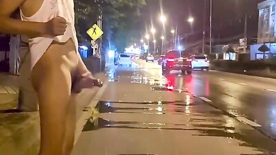 Asian Risky Jerk-Off: Highway Side Masturbation