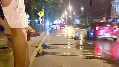 Asian Risky Jerk-Off: Highway Side Masturbation