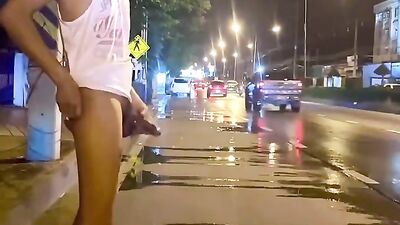 Asian Risky Jerk-Off: Highway Side Masturbation