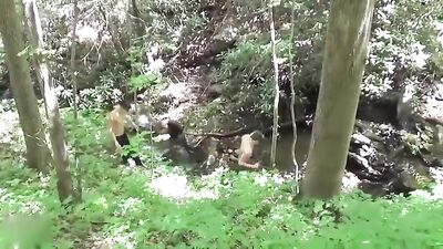 Gay Porn Frenzy - Bareback Oral Handjob Action